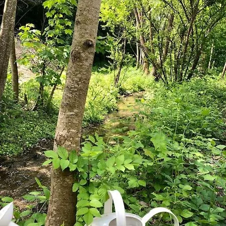 Zauberhafte Ferienscheune Im Hofgut Alte Oelmuehle بيت للعطل