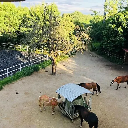 Zauberhafte Ferienscheune Im Hofgut Alte Oelmuehle Holiday home Engen